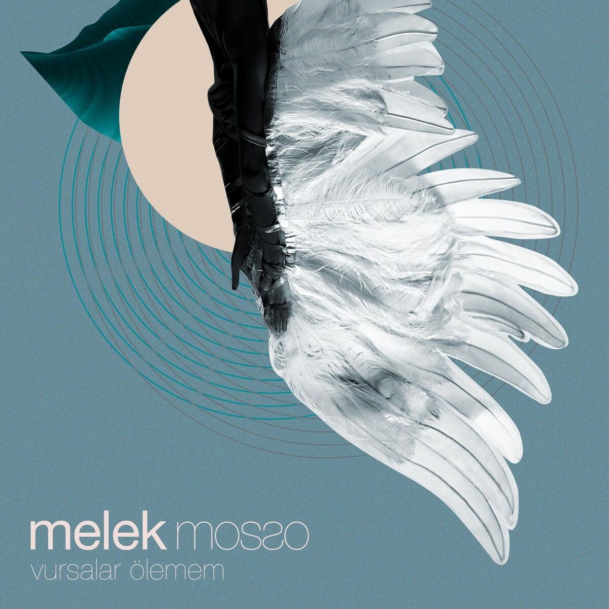 Album cover of Vursalar Ölemem