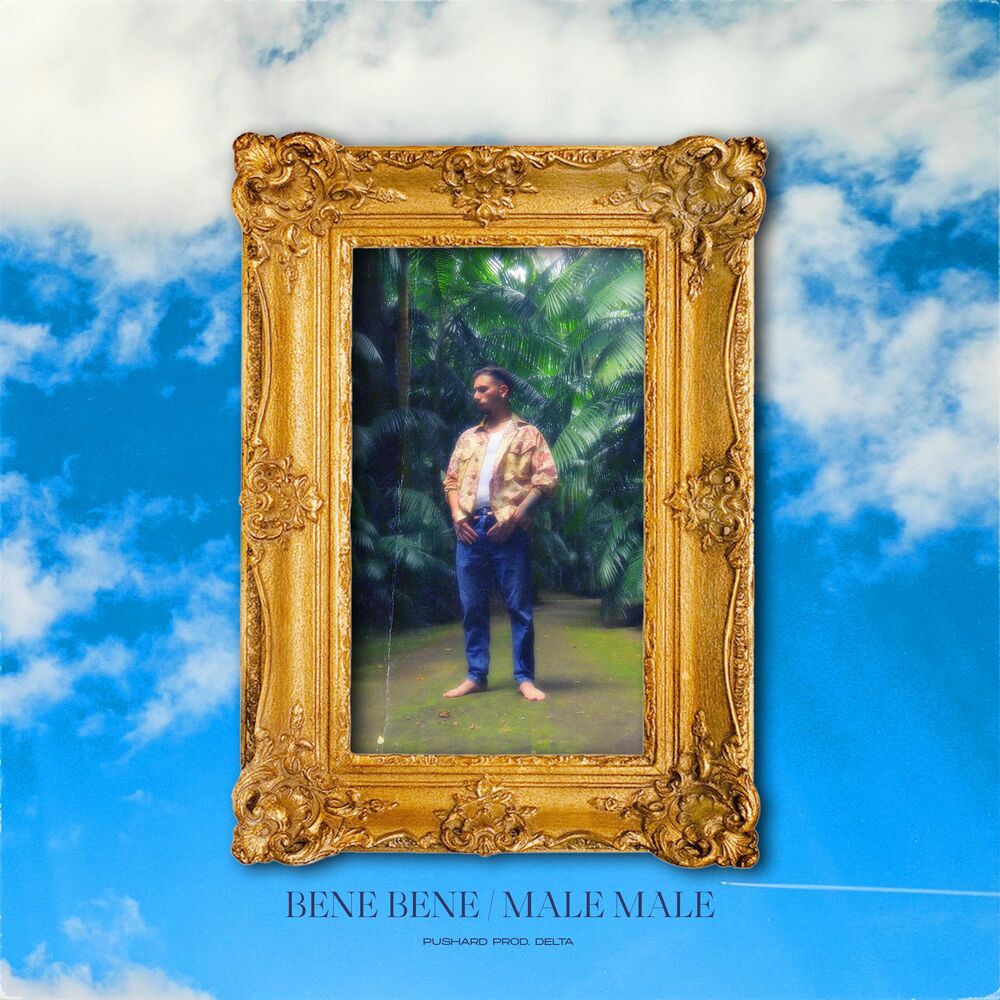 Picture of Bene Bene / Male Male (feat. Delta)