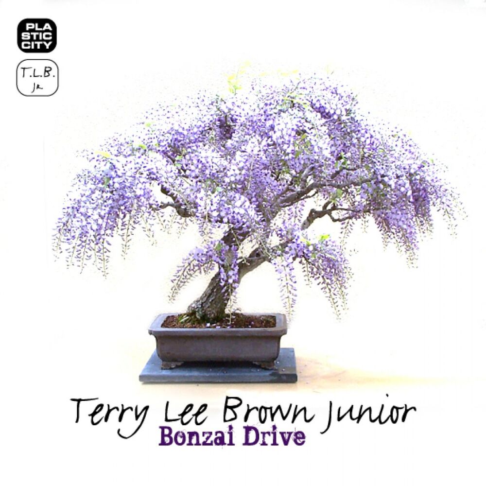 Picture of Terry Lee Brown Junior - Bonzai Drive (MP3 EP)