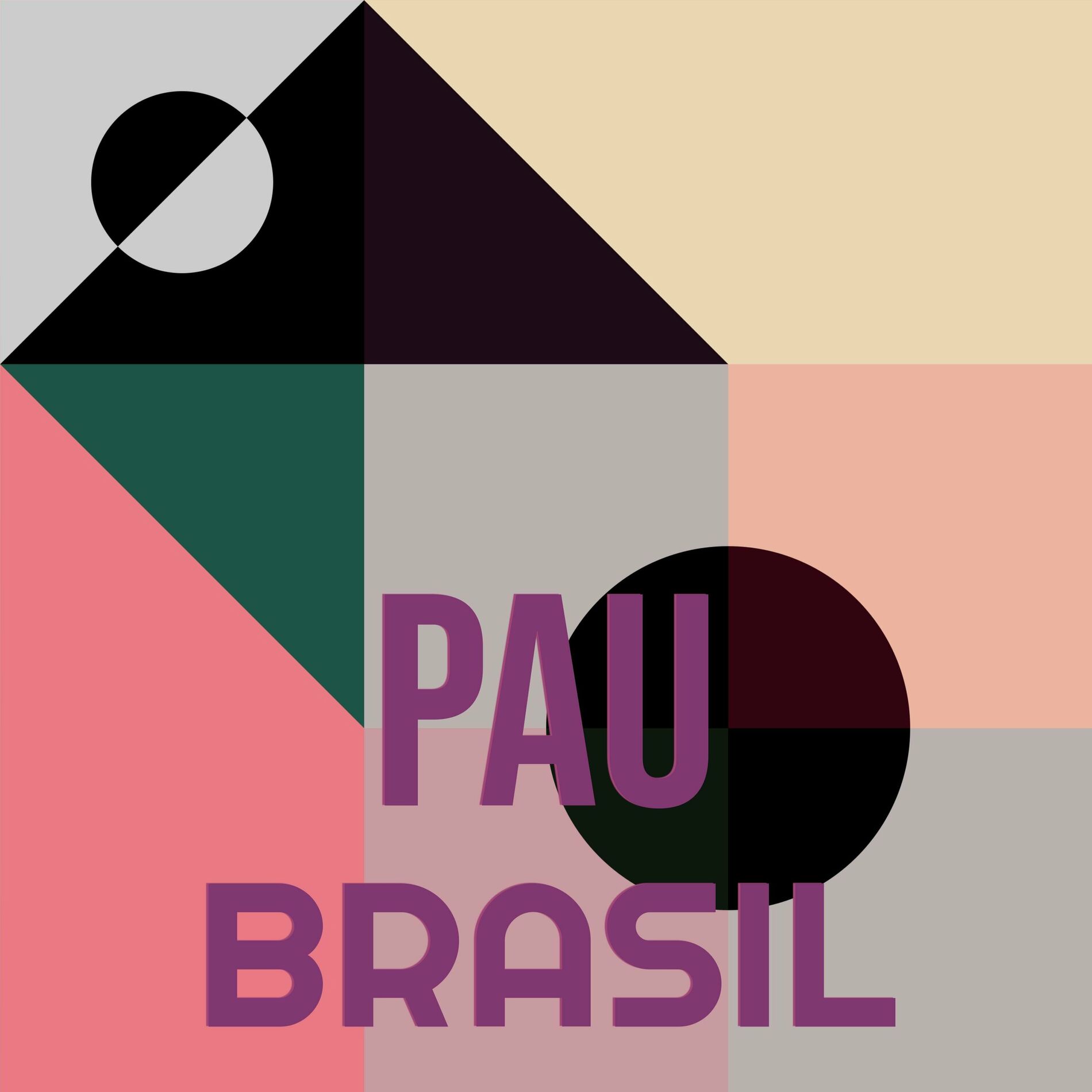 Album cover of Pau Brasil