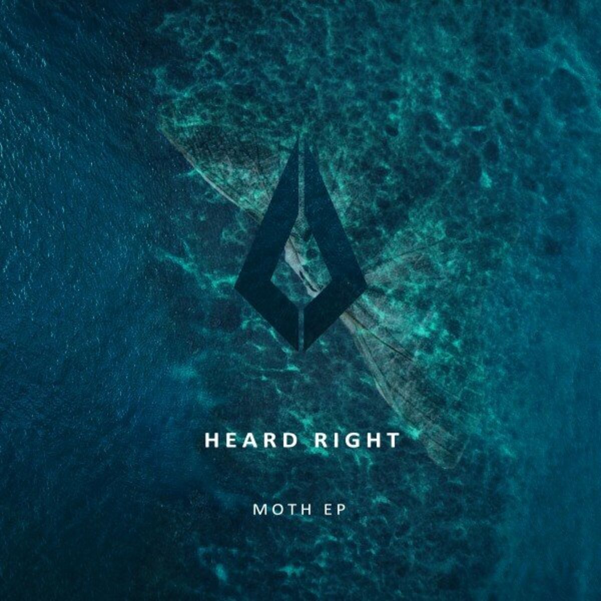 Album cover of Moth