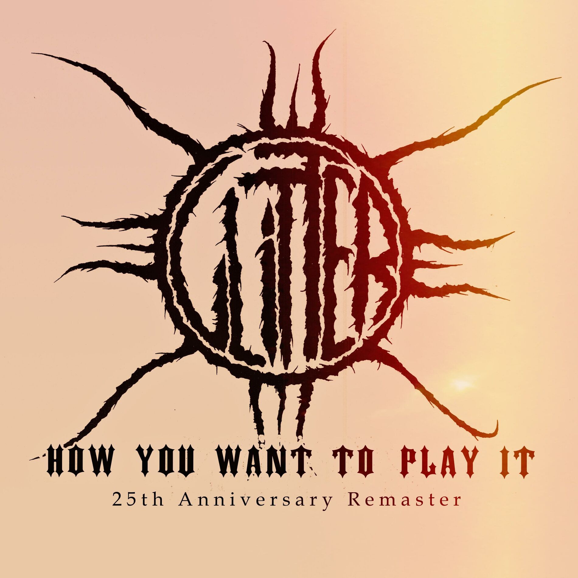 Album cover of How You Want to Play it