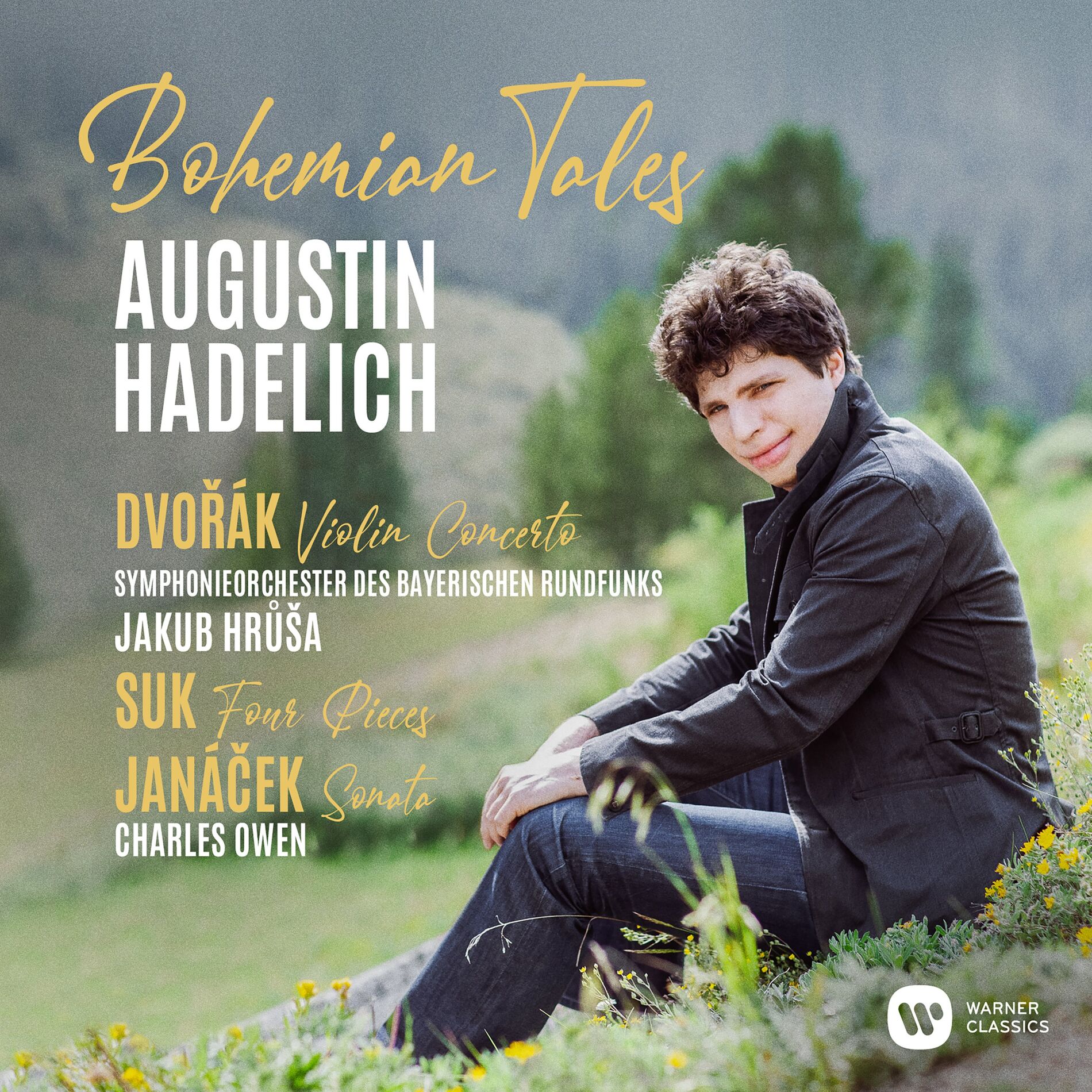 Album cover of Dvorak: Violin Concerto in A Minor, Op. 53, B. 108: I. Allegro ma non troppo