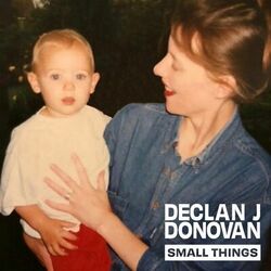 Cover of Small Things
