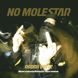 No Molestar