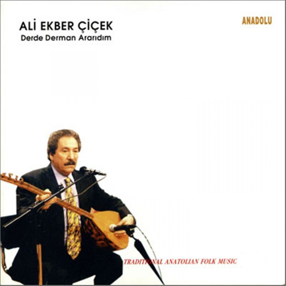 Album cover of Derde Derman Ararıdım