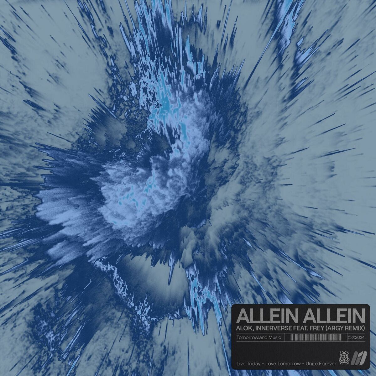 Album cover of Allein Allein