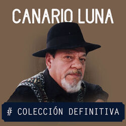 Cover of Colección Definitiva