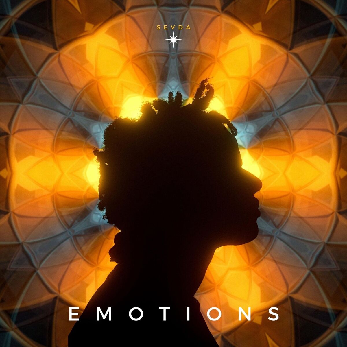 Album cover of Emotions
