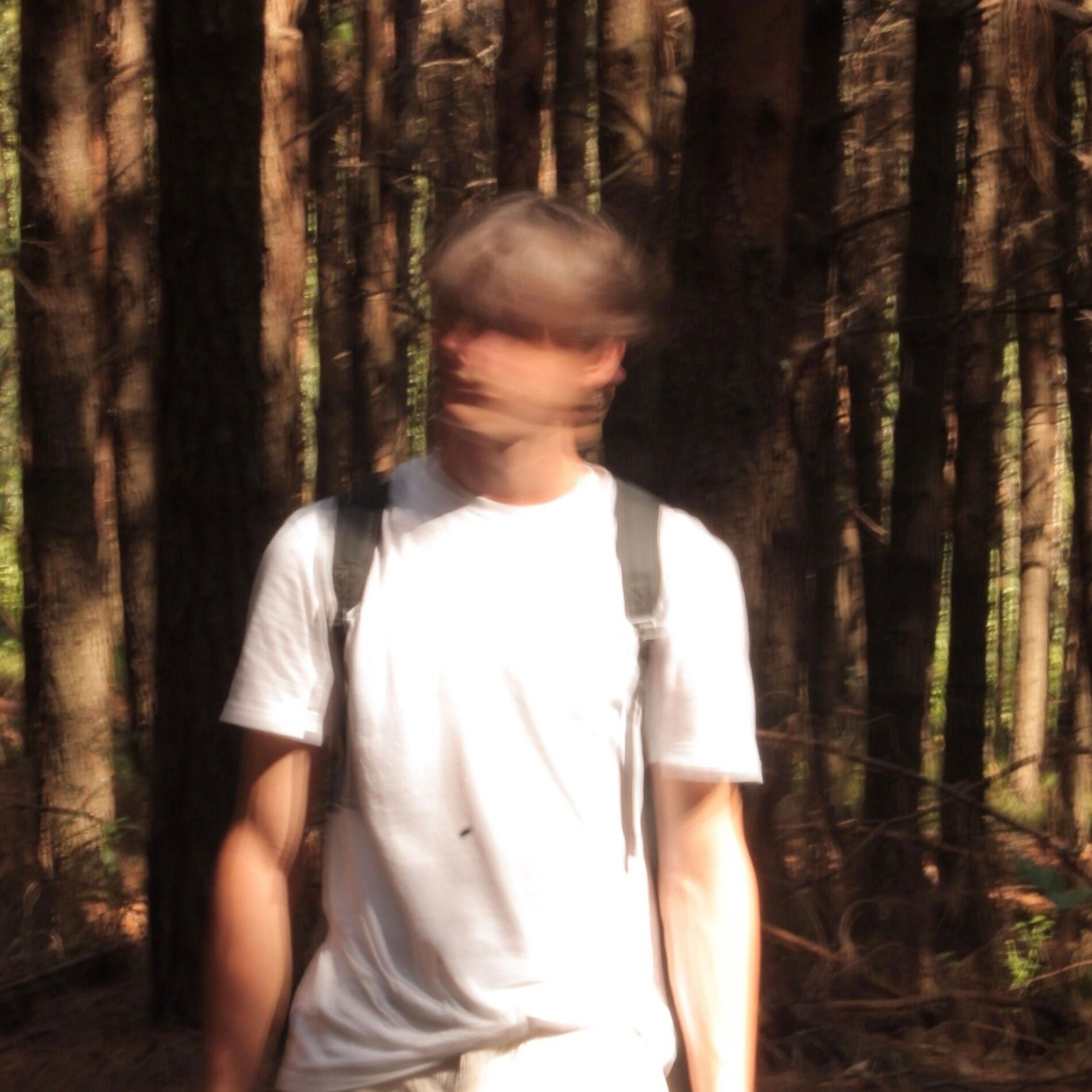 Album cover of Cold Pine Trees