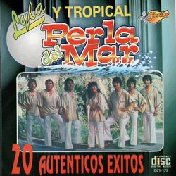 Cover of 20 Autenticos Exitos