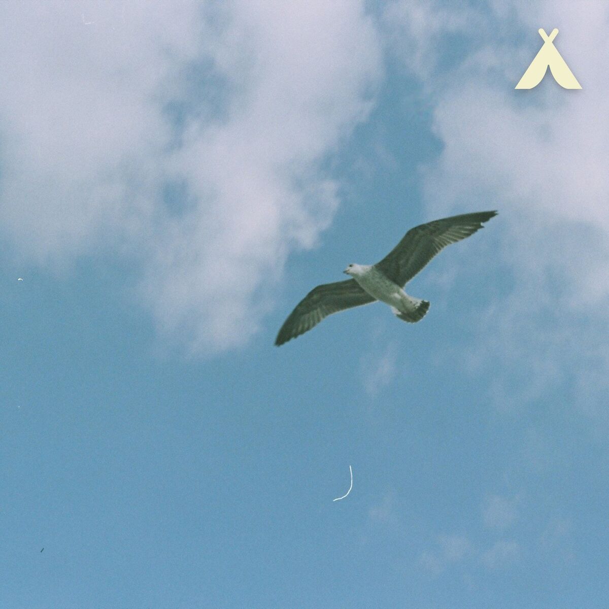 Album cover of Breath