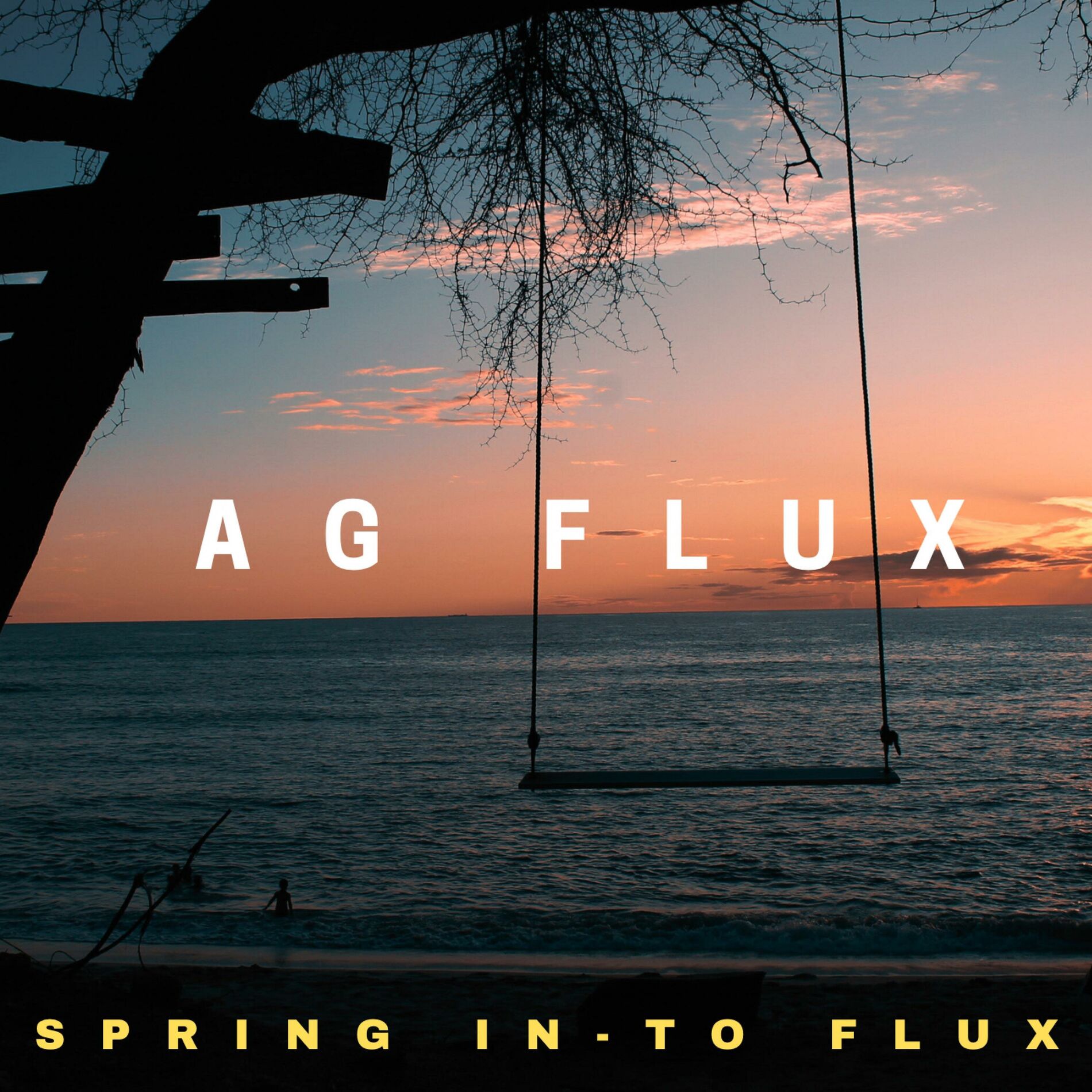 Album cover of Spring IN-To Flux