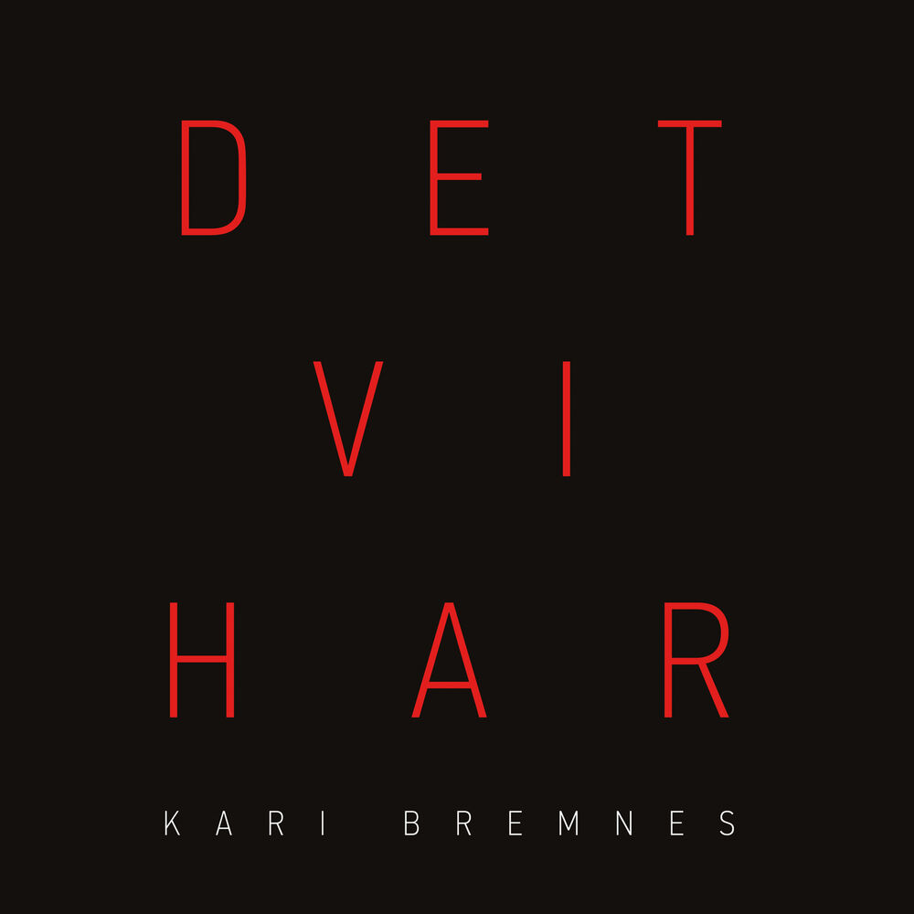 Picture of Det vi har