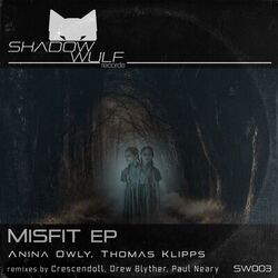 Cover of Misfit