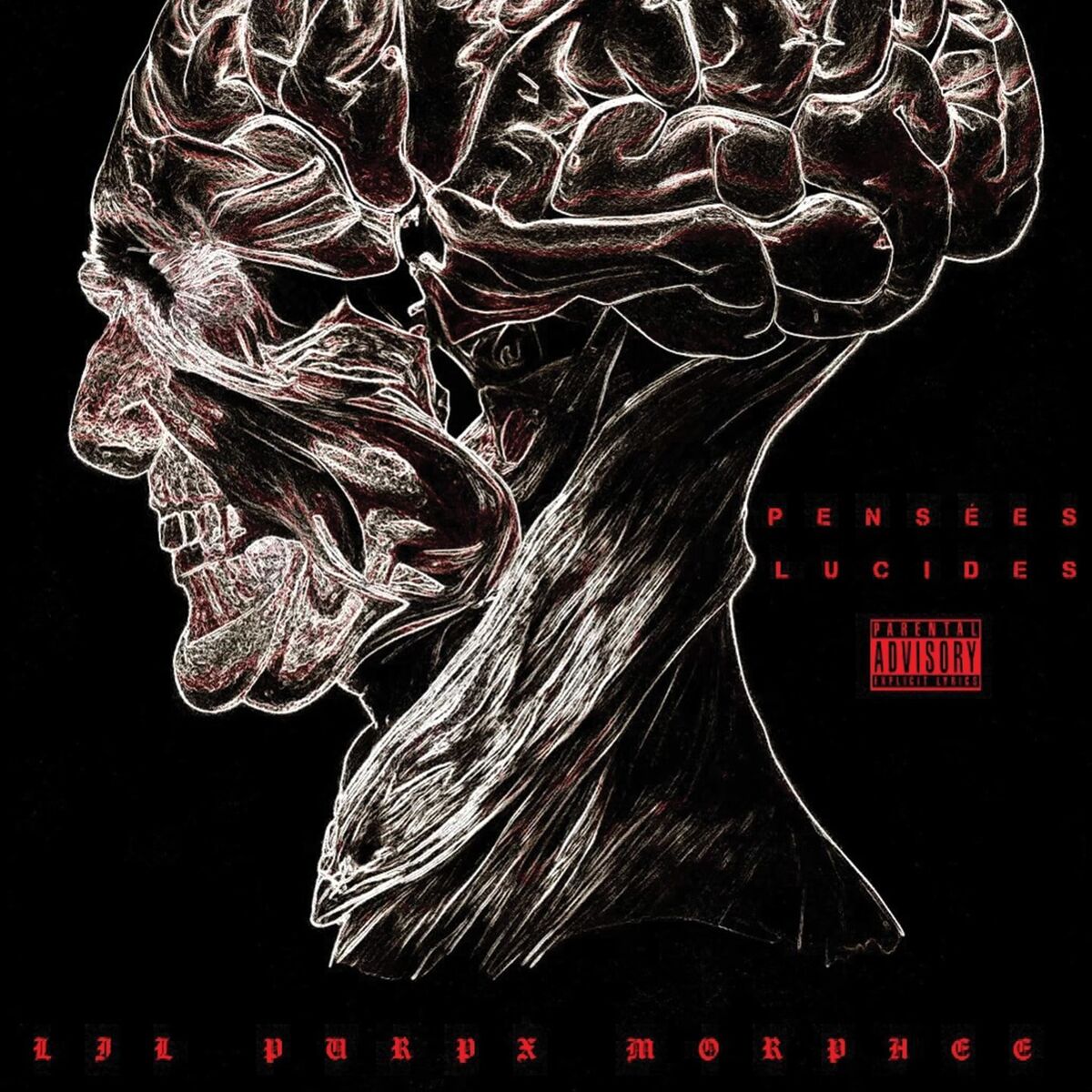 Album cover of Pensées Lucides