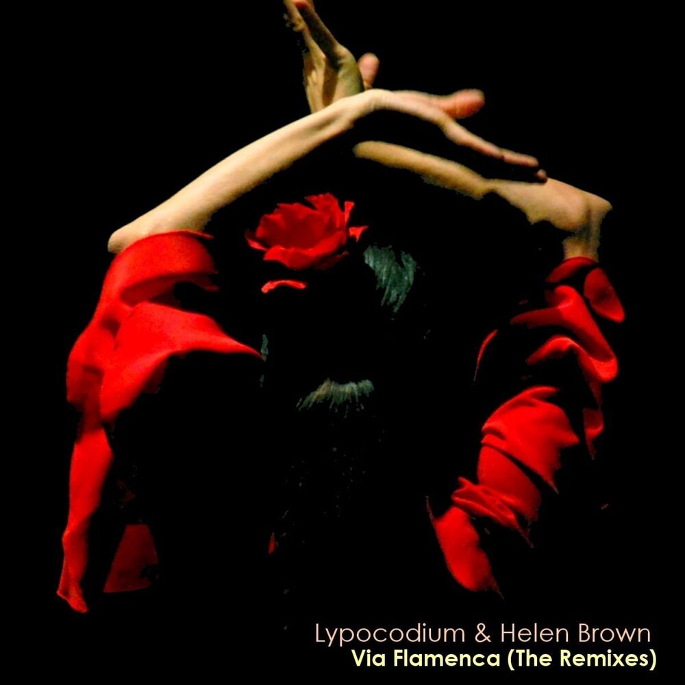 Picture of Via Flamenca (The Remixes)