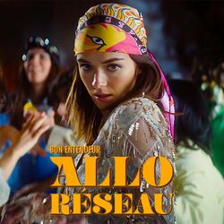 Cover of Allo réseau (Edit)