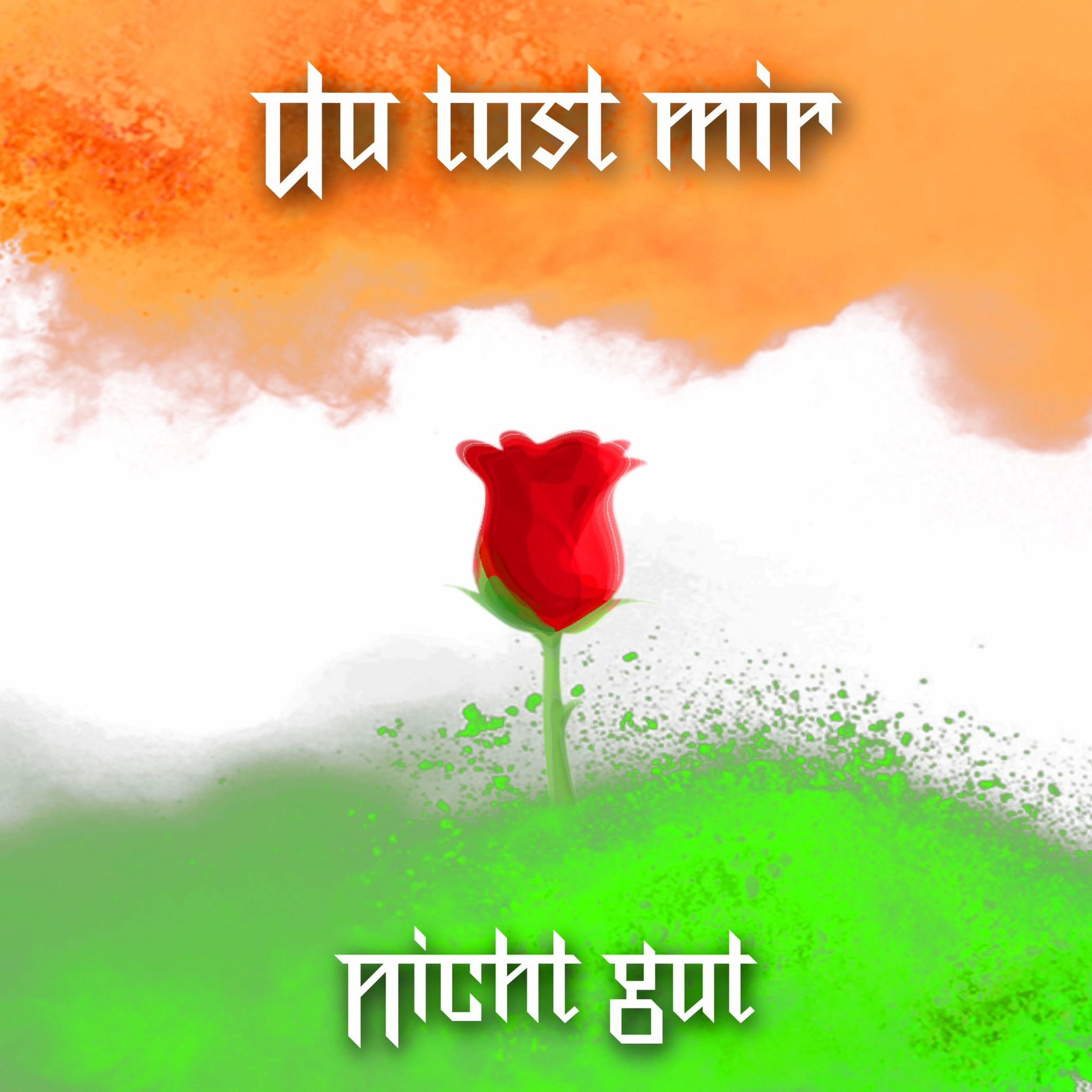 Album cover of Du tust mir nicht gut