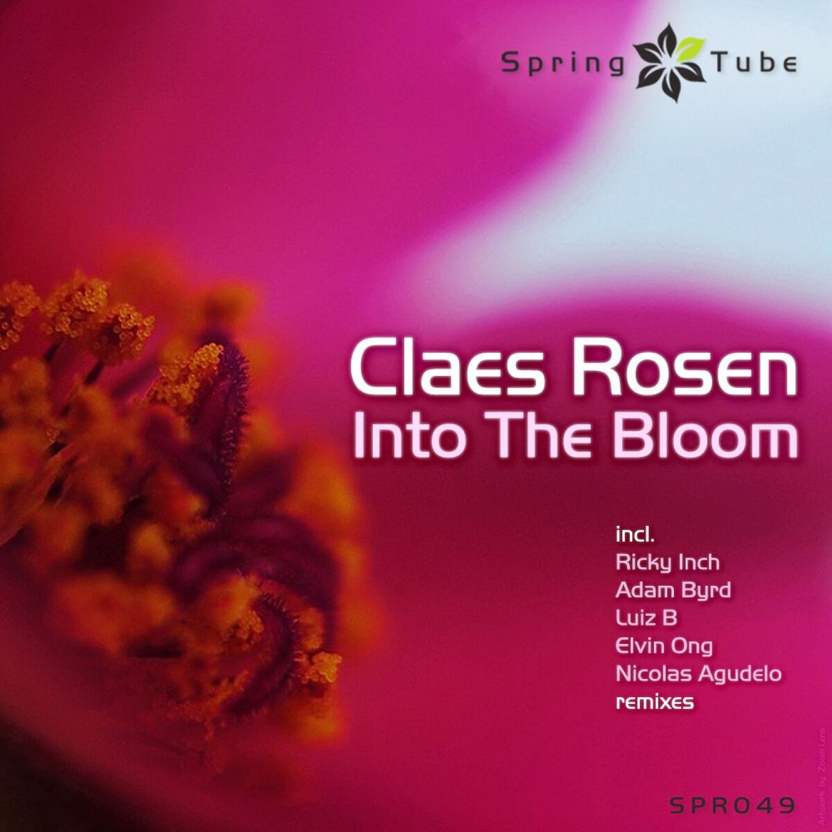 Album cover of Into the Bloom (Remixes)