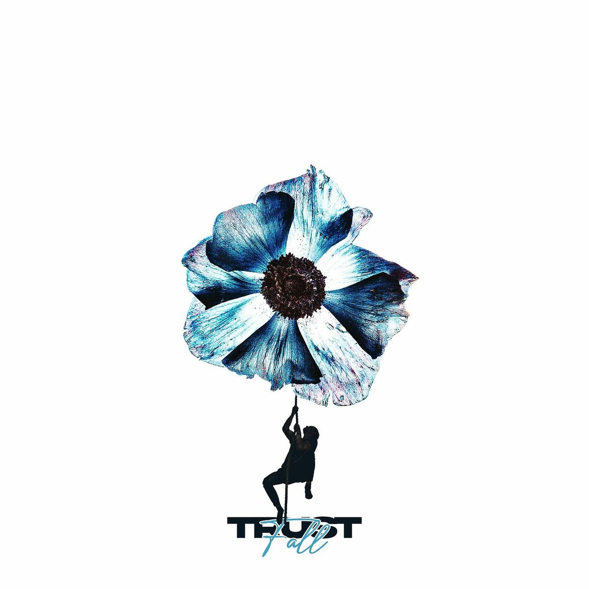 Album cover of TrustFall