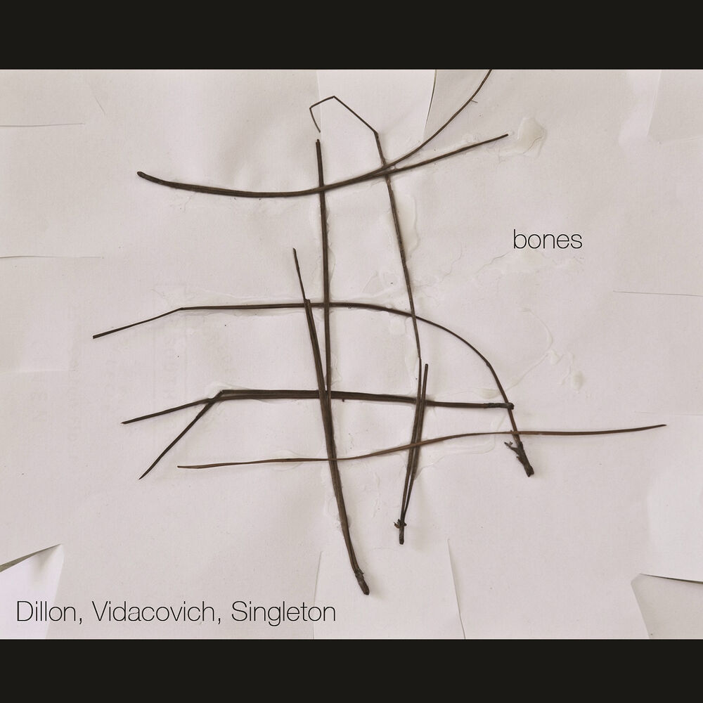 Picture of Bones