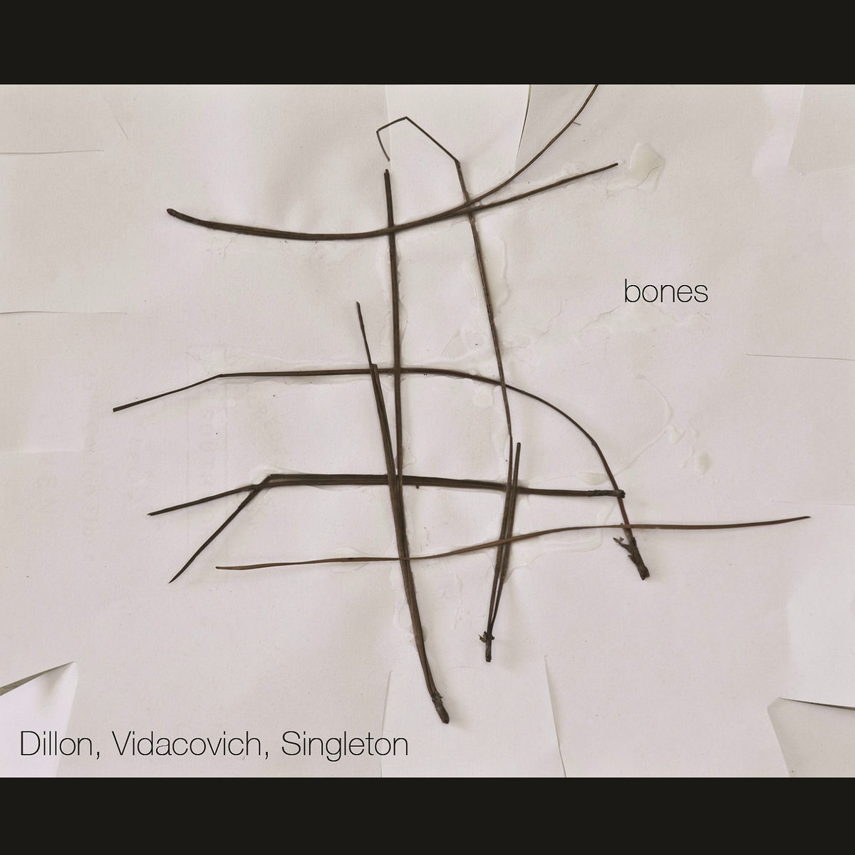 Album cover of Bones