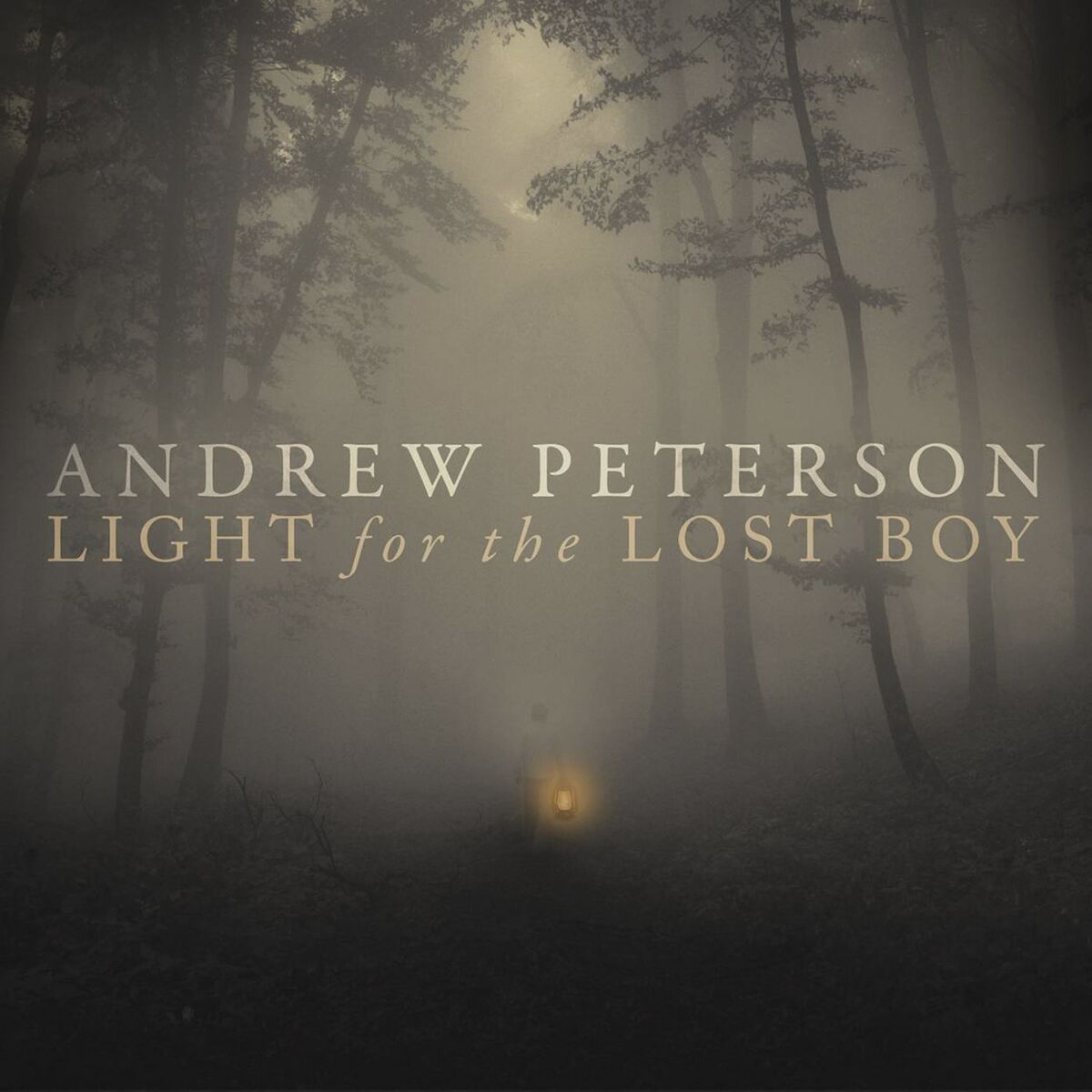 Album cover of Light for the Lost Boy