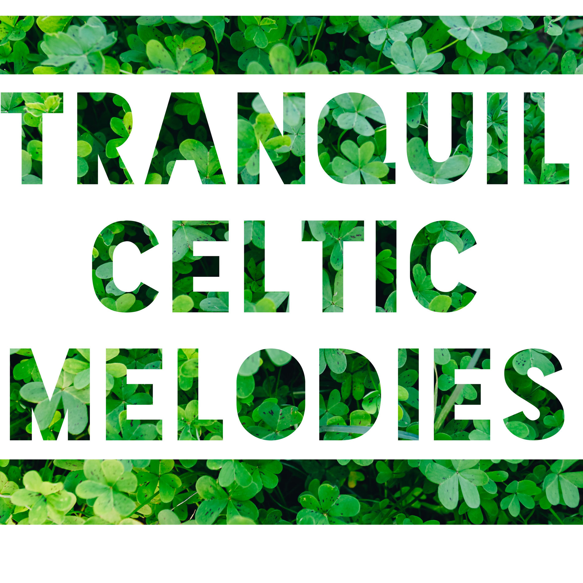 Album cover of Tranquil Day