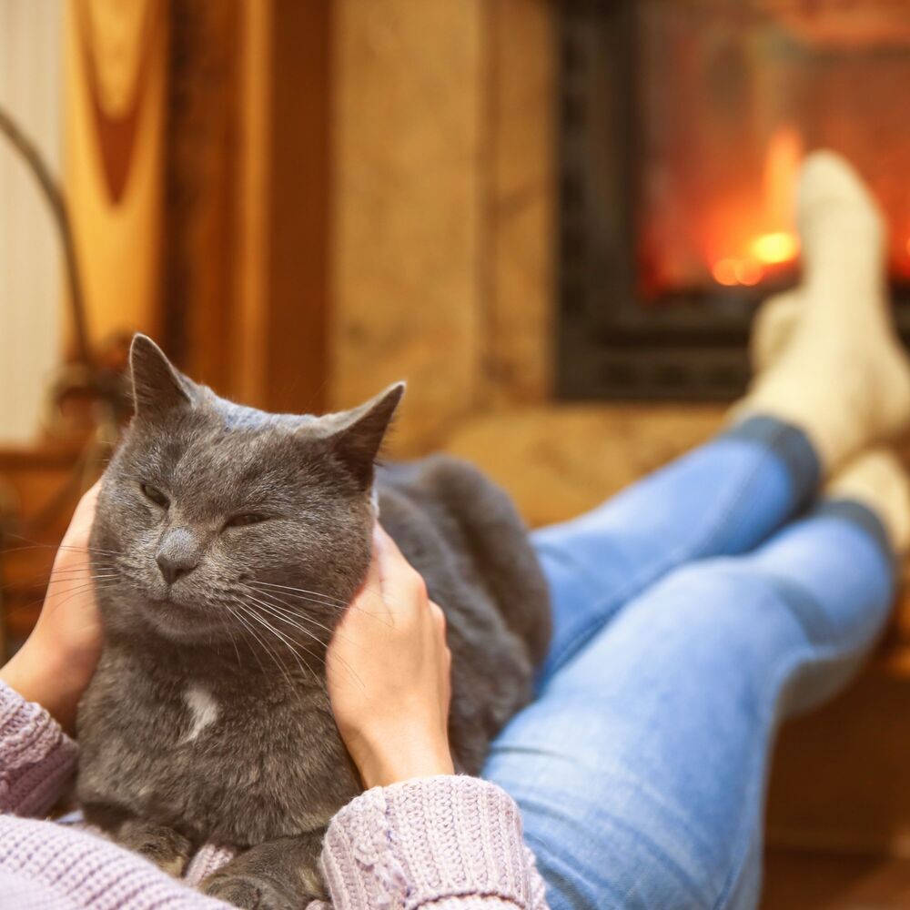 Picture of Nature's Hearth: Binaural Fire Serenades for Cats' Relaxation