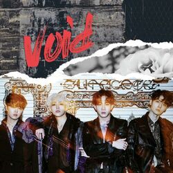 Cover of Void
