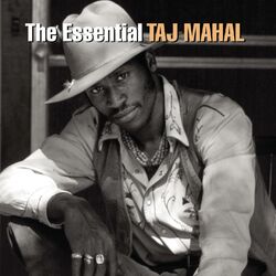 Cover of The Essential Taj Mahal
