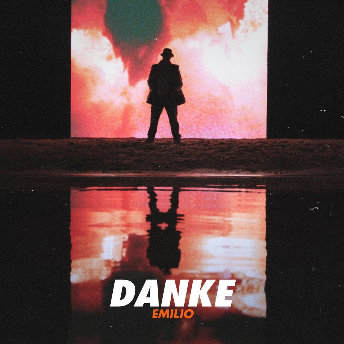 Album cover of DANKE