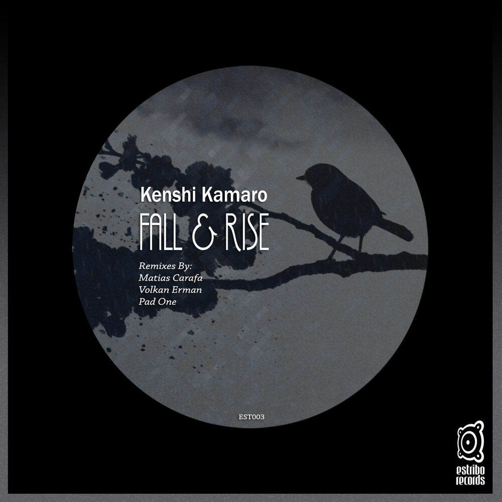 Picture of Fall & Rise