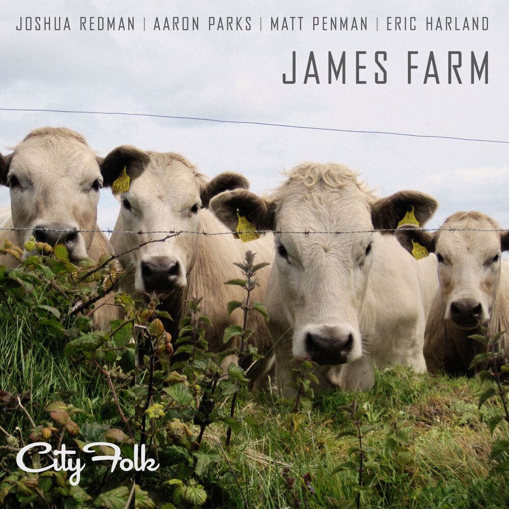 Picture of City Folk