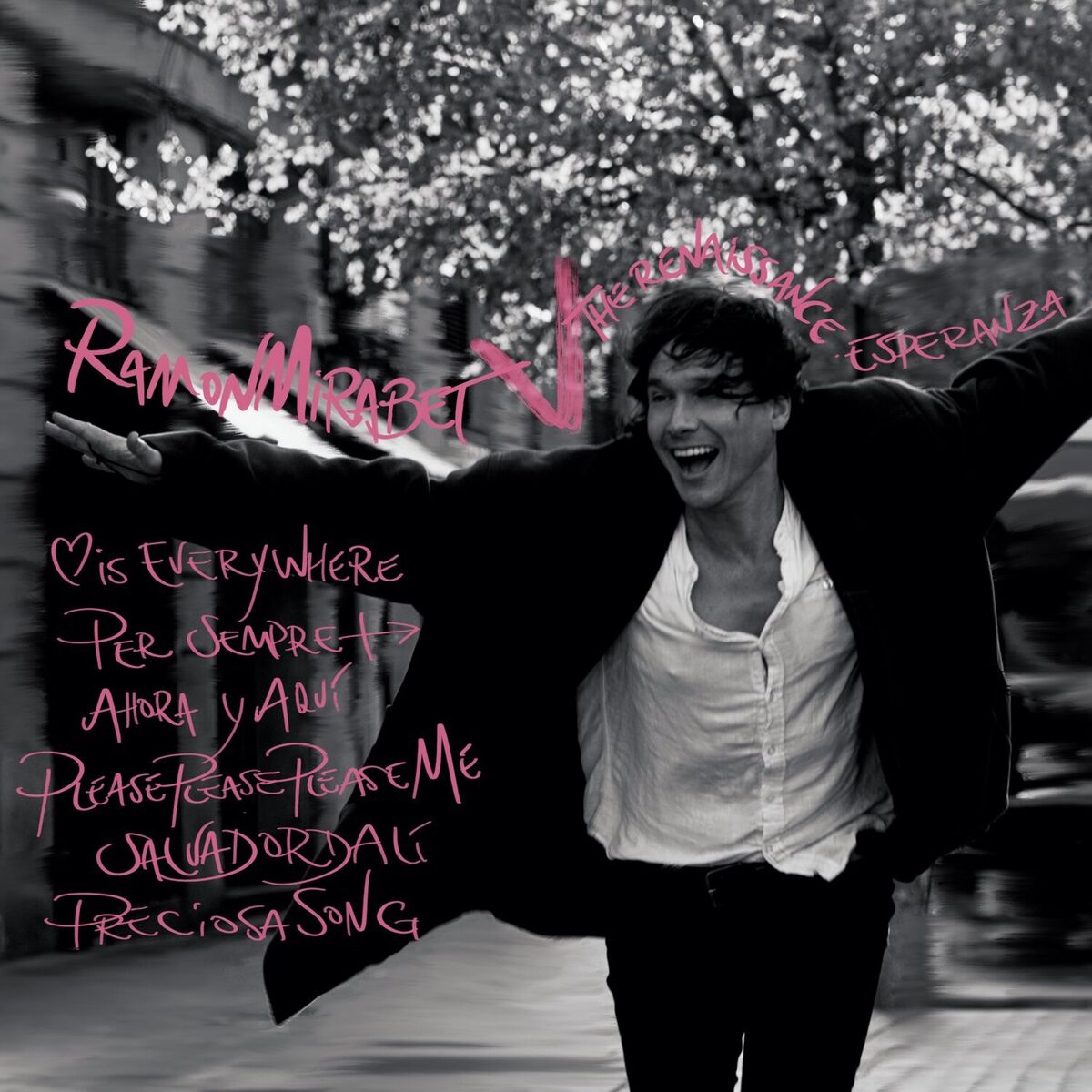 Album cover of V