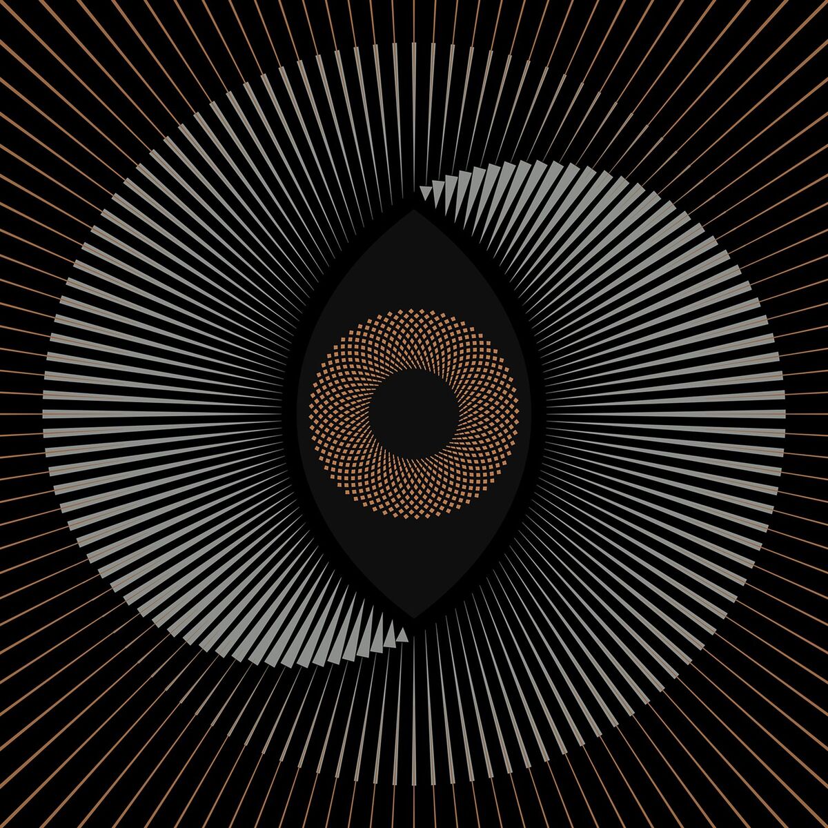 Album cover of Unconformities