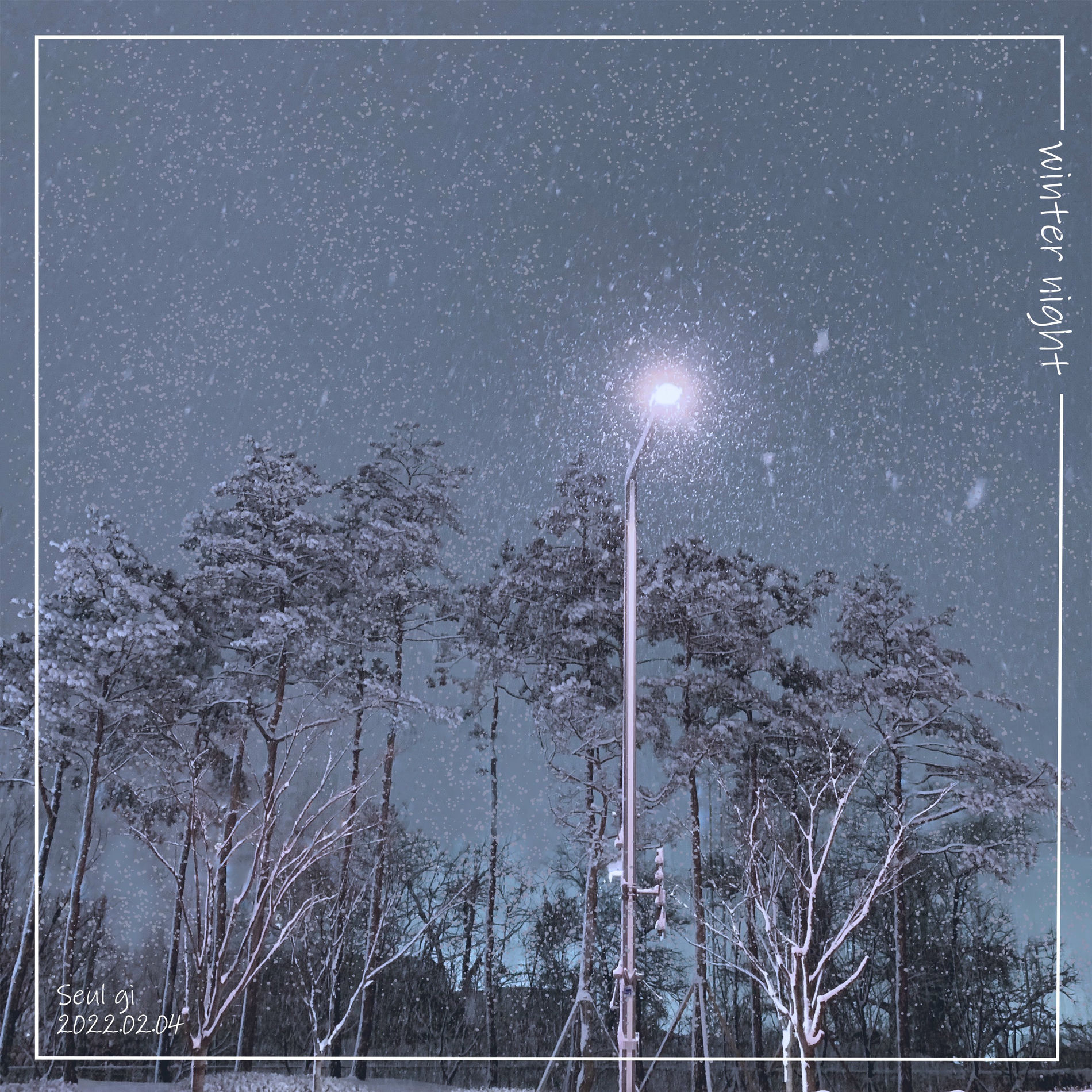 Album cover of Winter Night