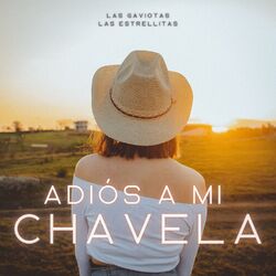 Cover of Adiós a mi Chavela