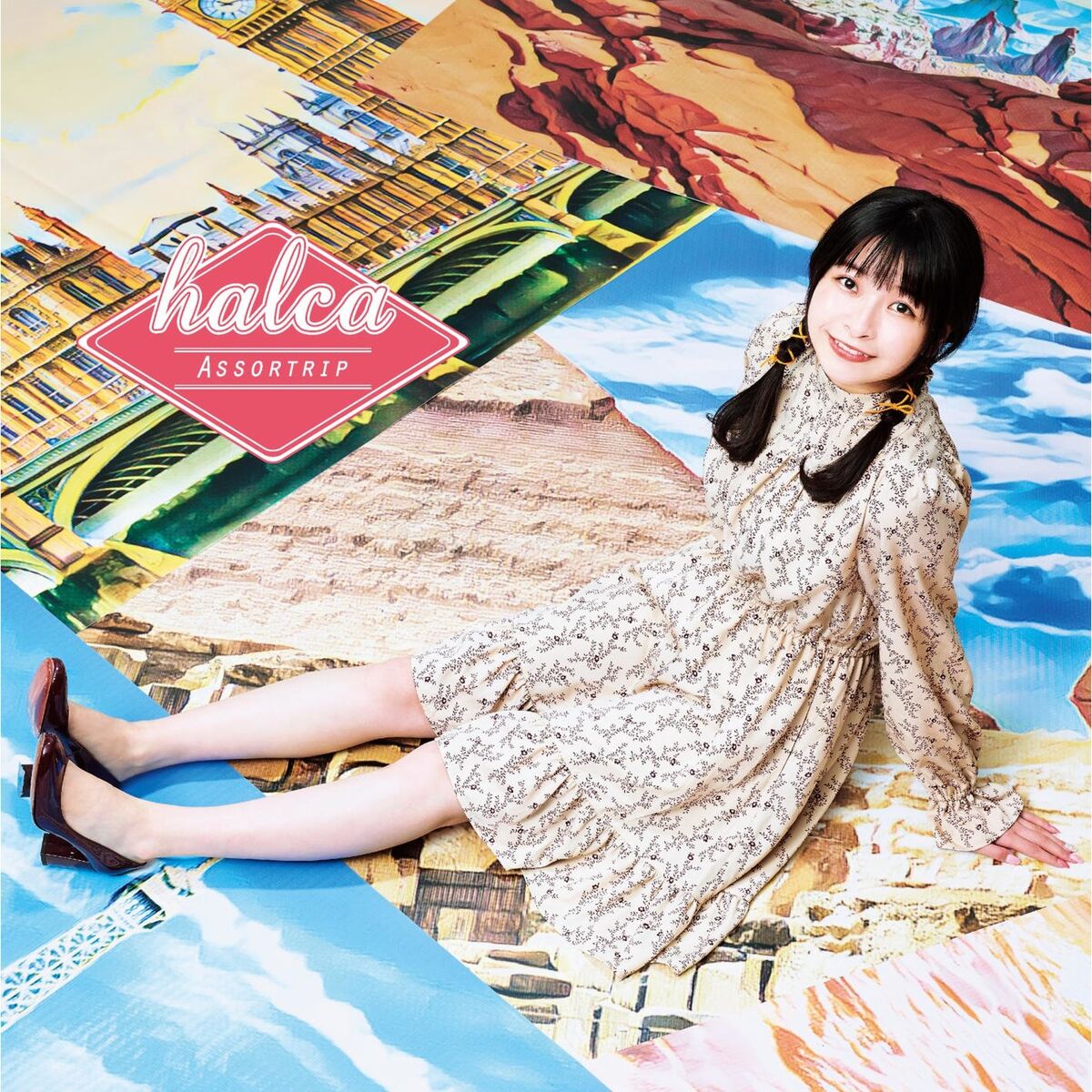 Album cover of Assortrip
