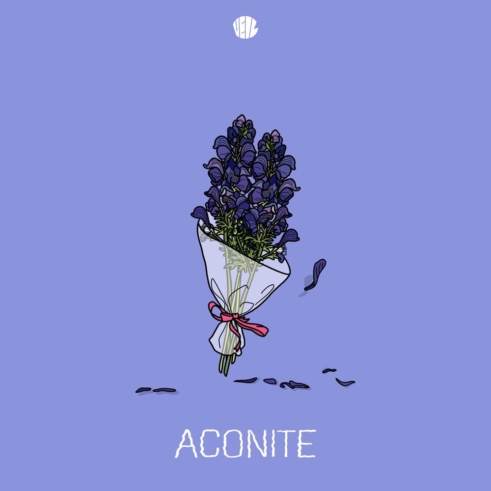 Picture of Aconite