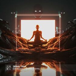 Cover of Vishnu