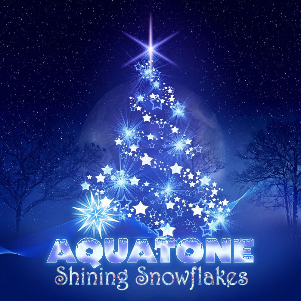 Picture of Shining Snowflakes