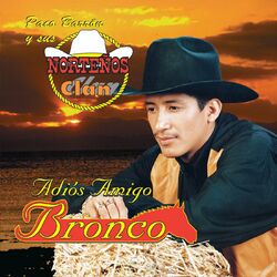 Cover of Adíos Amigo Bronco