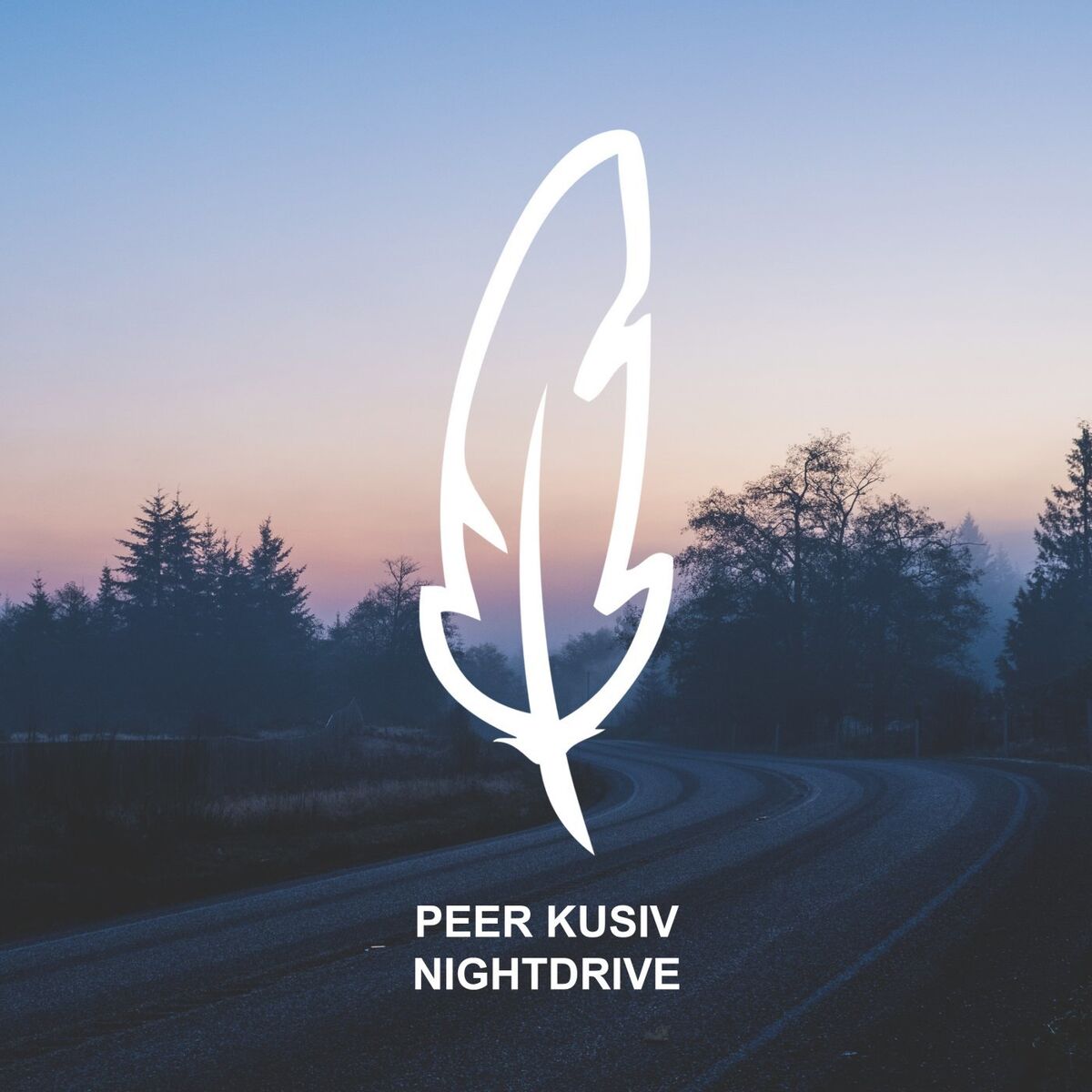 Album cover of Nightdrive