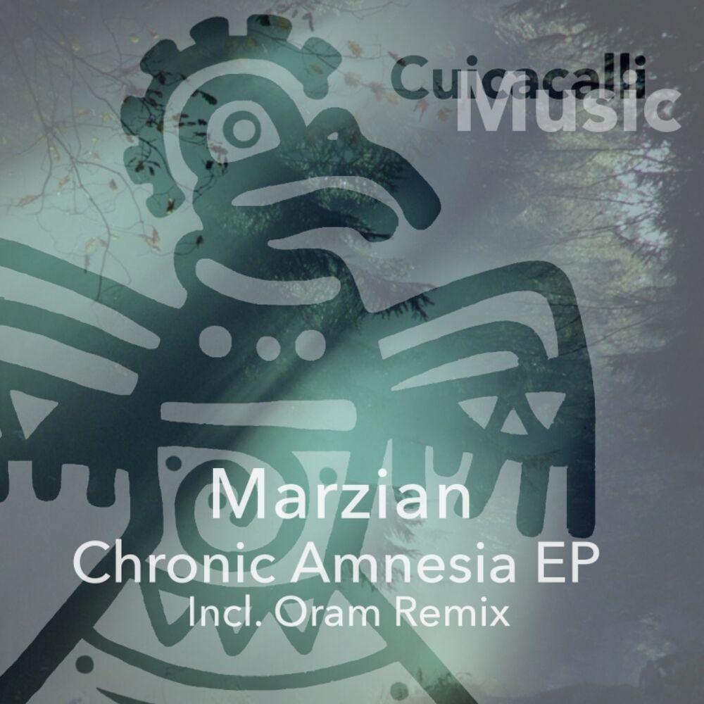 Picture of Chronic Amnesia EP
