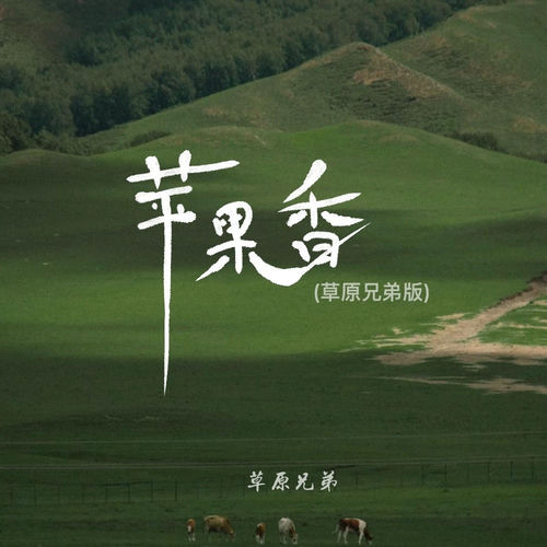 苹果香（他乡纵有当头月 不及家乡一盏灯）