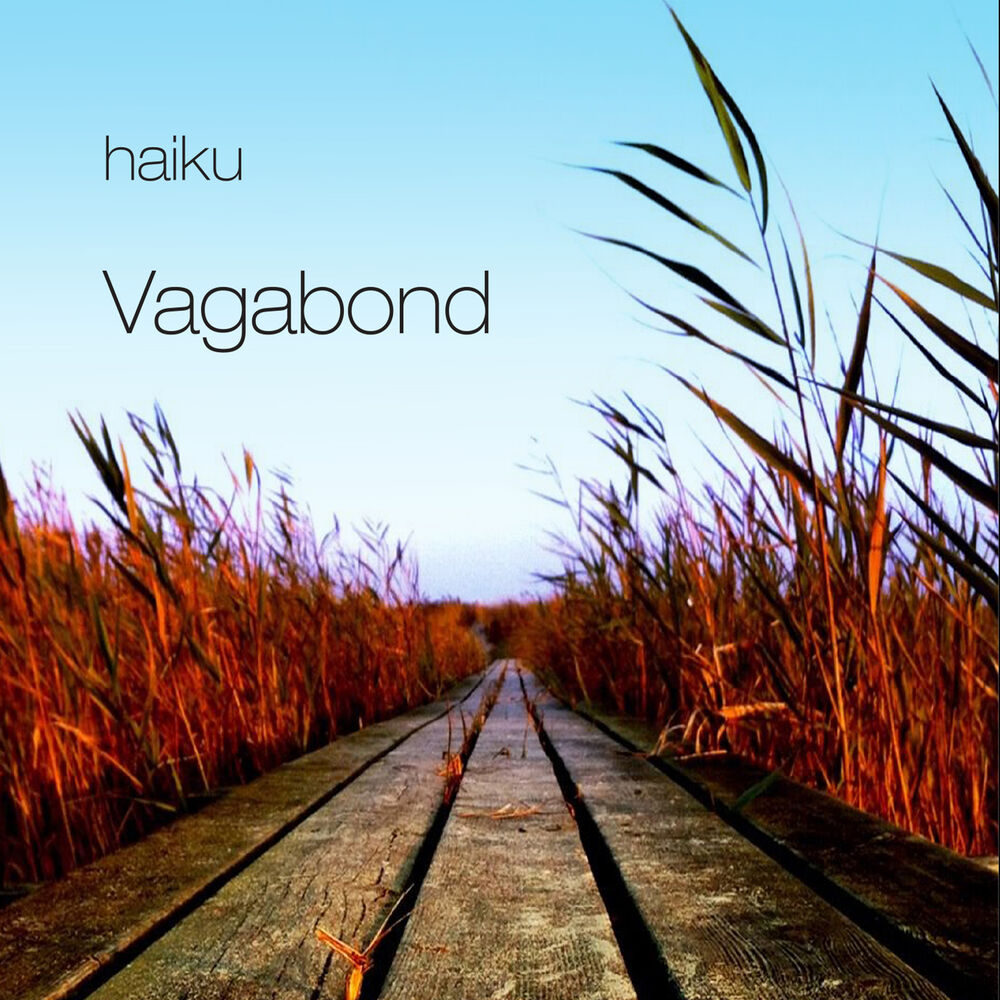 Picture of Vagabond