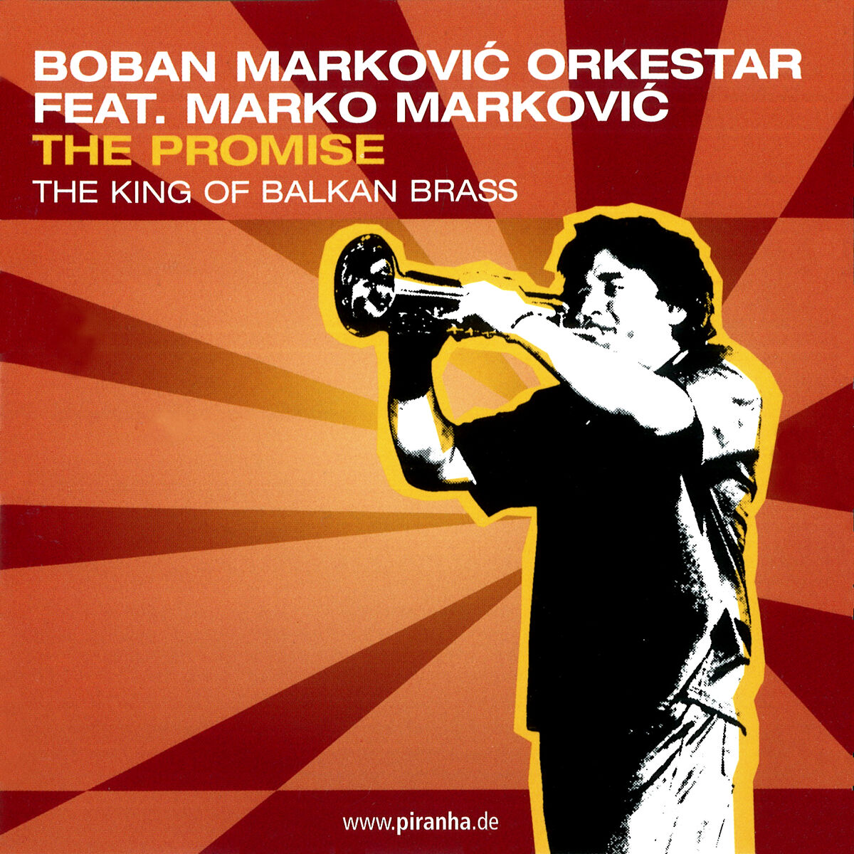 Album cover of The Promise