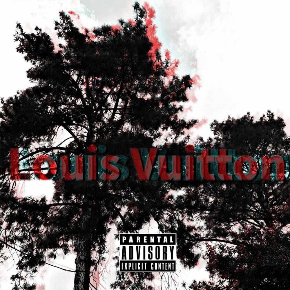 Picture of Louis Vitton